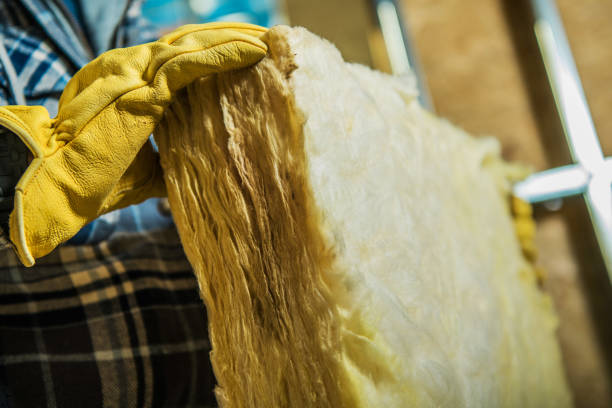 Best Attic Insulation Installation  in Erie, PA