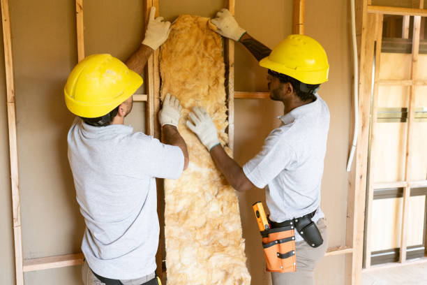 Best Home Insulation Services  in Erie, PA