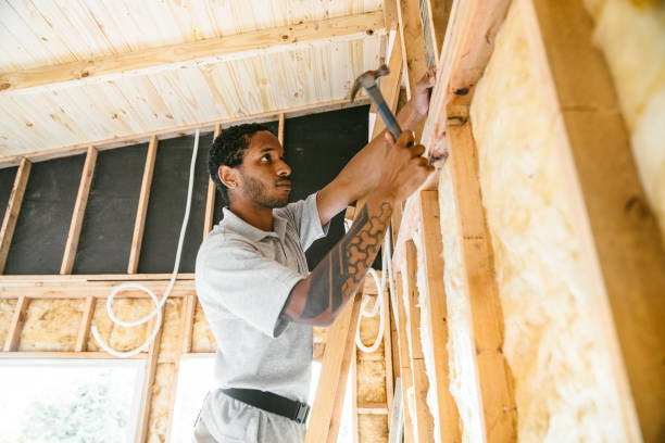 Best Wall Insulation Contractor  in Erie, PA