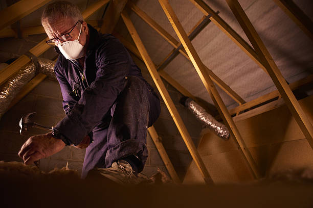 Best Insulation Contractors for Homes  in Erie, PA